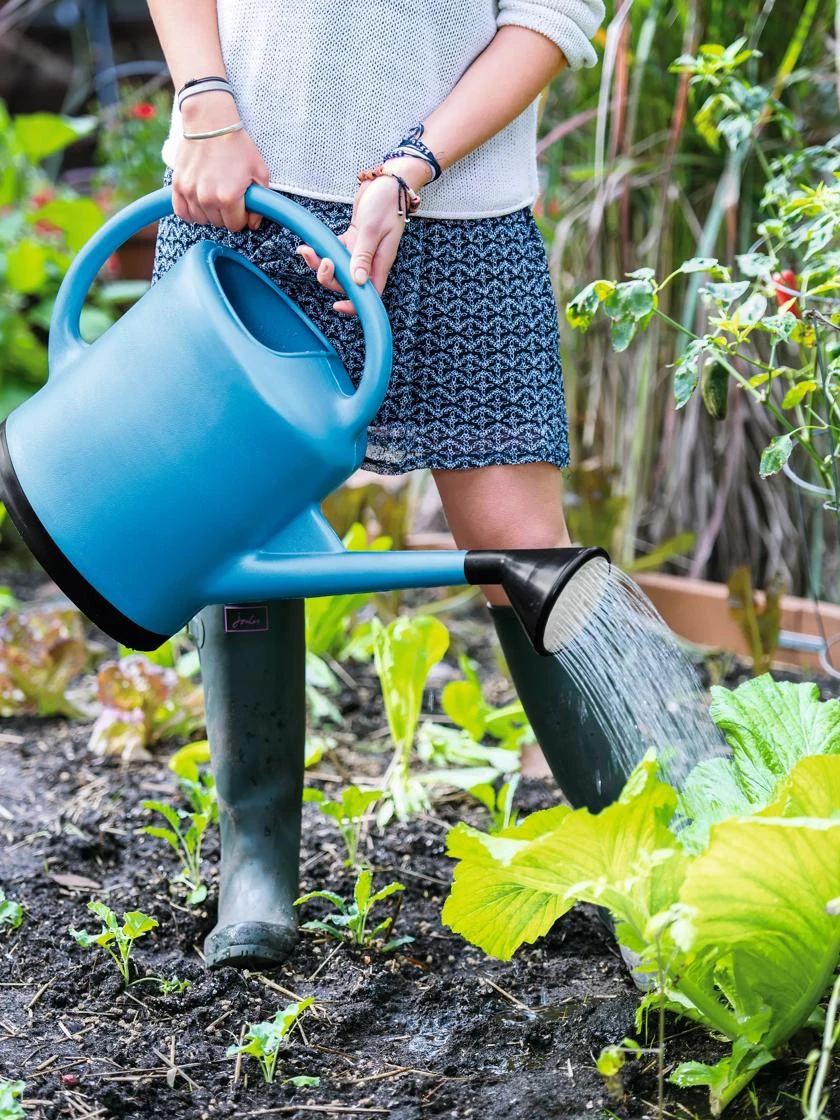 French Blue Watering Can 3 French Blue Watering Can