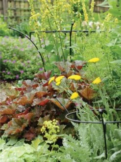 Essex Plant Supports -Garden Care 37423 280 tif