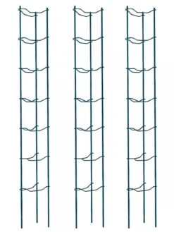 Tomato Ladders, Set Of 3 10 Tomato Ladders, Set Of 3 -Garden Care 38184 002E psd