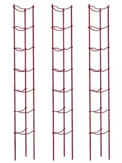 Tomato Ladders, Set Of 3 11 Tomato Ladders, Set Of 3 -Garden Care 38185 002E psd