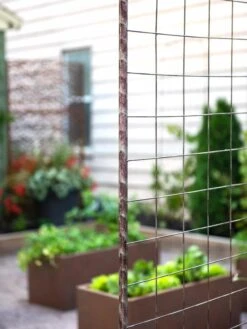 Jardin Rose Arch 10 Jardin Rose Arch -Garden Care 38690 9948 tif