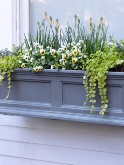 Fairfield Self-Watering Window Box, 3’ -Garden Care 39 344 9360 tif