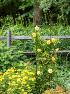 Jardin Round Obelisk, 7' 9 Jardin Round Obelisk, 7' -Garden Care 39 530 1668 tif