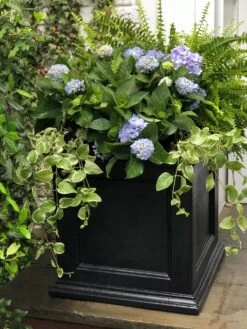 Fairfield Self-Watering Square Planter, 20” X 20” -Garden Care 39 618 205V tif