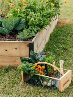 Garden Hods -Garden Care 39 761 572 tif