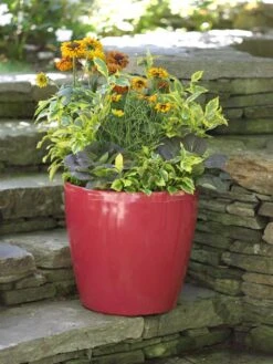 Viva Round Self-Watering Rolling Planter, 17.25” Diameter 11 Viva Round Self-Watering Rolling Planter, 17.25” Diameter -Garden Care 39326 046 tif