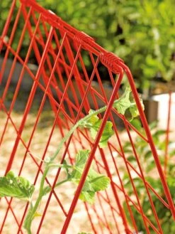 Deluxe Cucumber Trellis 12 Deluxe Cucumber Trellis -Garden Care 39806 542 tif