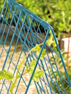 Deluxe Cucumber Trellis 14 Deluxe Cucumber Trellis -Garden Care 39806 BLUE 100 tif