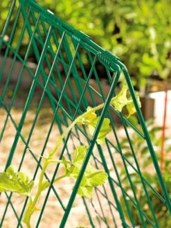 Deluxe Cucumber Trellis 13 Deluxe Cucumber Trellis -Garden Care 39806 GR edit tif