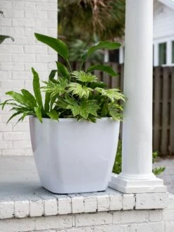 Viva Square Self-Watering Rolling Planter, 20" Diameter, Set Of 2 -Garden Care 3 4 crop 8612930 0033 tif