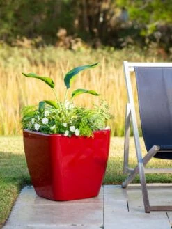 Viva Square Self-Watering Rolling Planter, 20" Diameter, Set Of 2 -Garden Care 3 4 crop 8612930 0035 tif