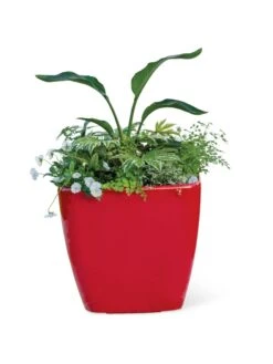 Viva Square Self-Watering Rolling Planter, 20" Diameter, Set Of 2 -Garden Care 3 4 crop 8612930 0037 tif