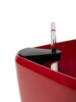 Viva Square Self-Watering Rolling Planter, 20" Diameter, Set Of 2 -Garden Care 3 4 crop 8612930 0107