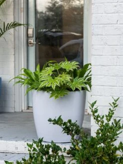 Viva Round Self-Watering Rolling Planter, 20" Diameter, Set Of 2 -Garden Care 3 4 crop 8612933 0025 tif