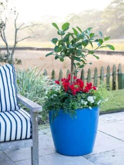 Viva Round Self-Watering Rolling Planter, 20" Diameter, Set Of 2 -Garden Care 3 4 crop 8612933 5312 tif