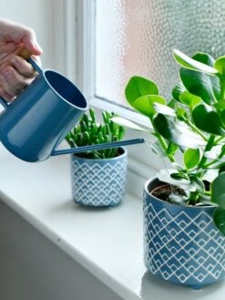 Pinpoint Indoor Watering Can 14 Pinpoint Indoor Watering Can -Garden Care 3 4 crop 8612963 03V tif