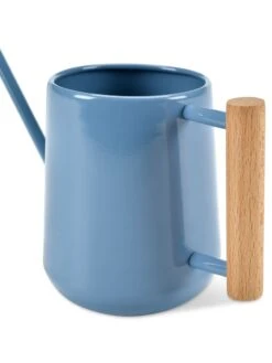Pinpoint Indoor Watering Can 18 Pinpoint Indoor Watering Can -Garden Care 3 4 crop 8612963 04V tif
