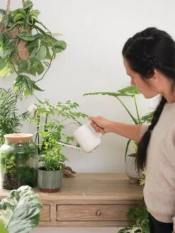 Pinpoint Indoor Watering Can 15 Pinpoint Indoor Watering Can -Garden Care 3 4 crop 8612963 3774