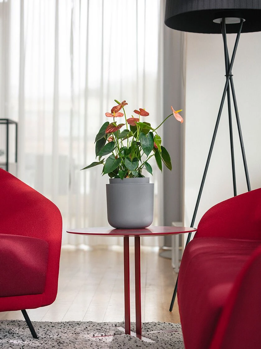 Tolita Recycled Self-Watering Flower Pot, 8" Diameter 4 Tolita Recycled Self-Watering Flower Pot, 8" Diameter - Image 2