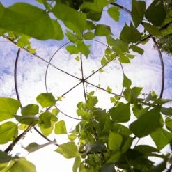 Jardin Tower 12 Jardin Tower -Garden Care 3 4 crop 8612997 0033