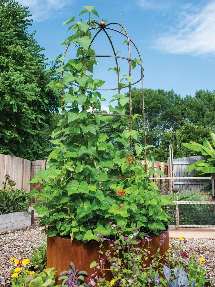 Jardin Tower 4 Jardin Tower - Image 2