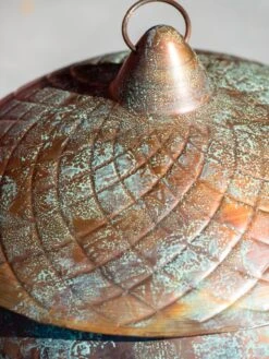 Acorn Hose Pot -Garden Care 3 4 crop 8613361 0045