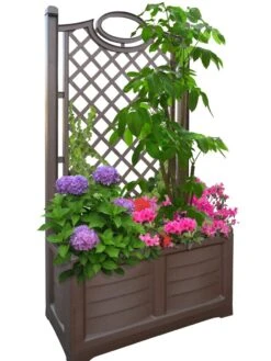 Separate Flower Box With Trellis -Garden Care 3 4 crop 8613626 04V