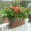 Self-Watering Railing Planter 1 Self-Watering Railing Planter -Garden Care 40145 040 tif