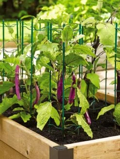 Pepper And Eggplant Stakes, Set Of 3 7 Pepper And Eggplant Stakes, Set Of 3 -Garden Care 40308 2116 tif