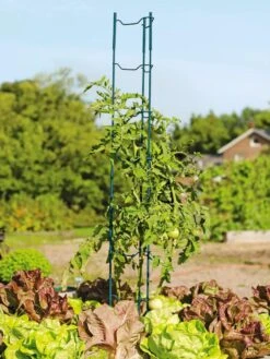 Stacking Tomato Ladders, Set Of 6 9 Stacking Tomato Ladders, Set Of 6 -Garden Care 40309 100 tif
