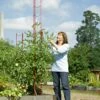 Stacking Tomato Ladders, Set Of 6 1 Stacking Tomato Ladders, Set Of 6 -Garden Care 40309 4147 tif