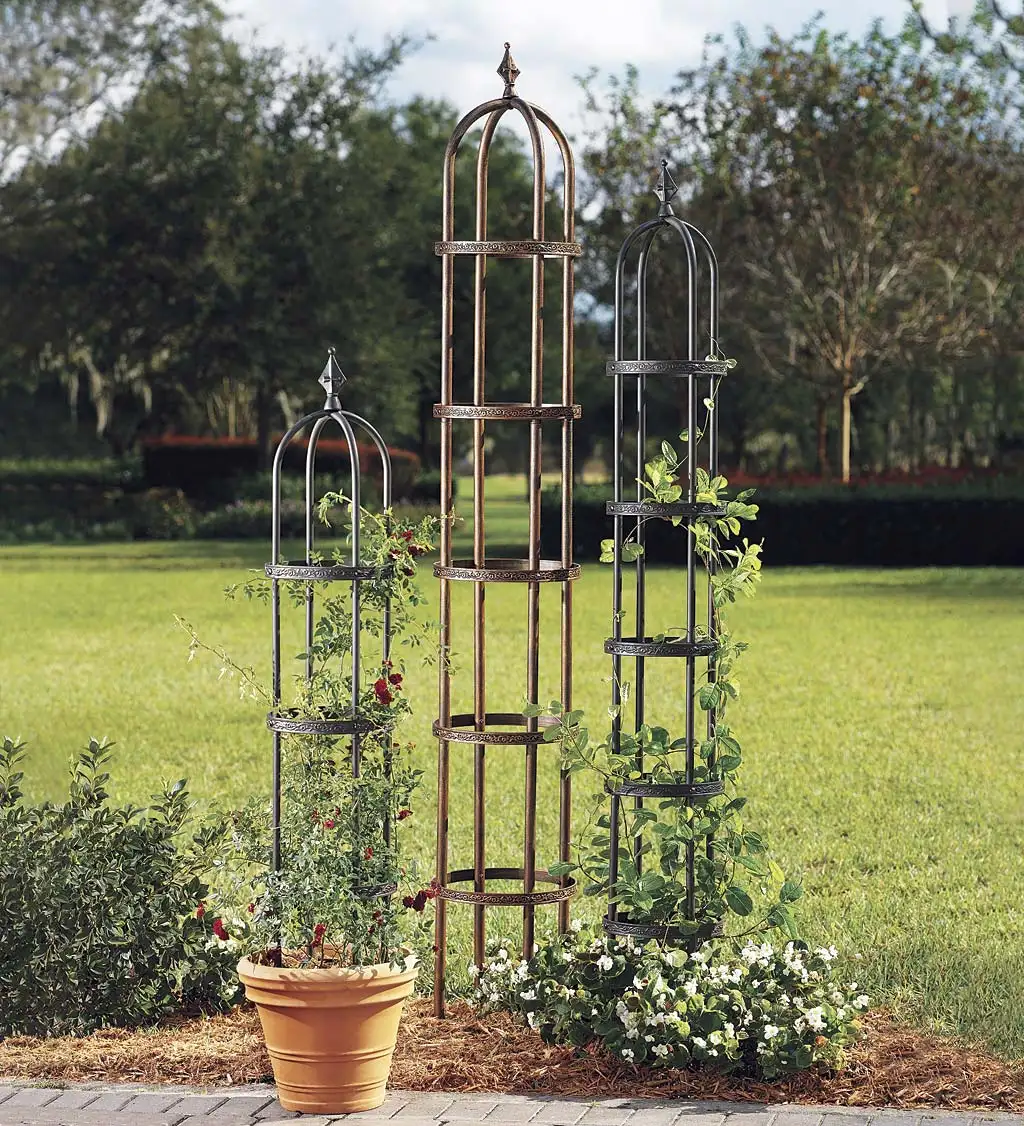 Garden Care -Garden Care 7