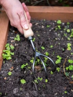 Garden Care -Garden Care 8586971 3014 tif