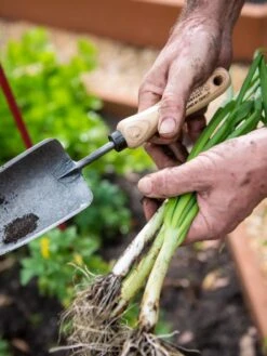 Gardener's Lifetime Trowel -Garden Care 8586972 3286 tif