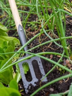 Gardener's Lifetime Spork 10 Gardener's Lifetime Spork -Garden Care 8586973 2383 tif