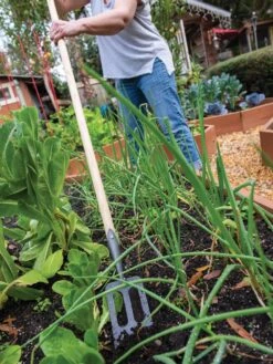 Garden Care -Garden Care 8586973 2385 tif