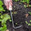 Gardener's Lifetime Cape Cod Weeder, Right-Handed -Garden Care 8586974 2361 tif