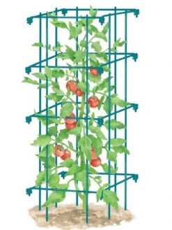Tomato Cage, Single -Garden Care 8587039 TomatoCage BLUE tif