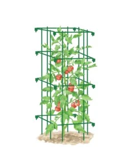 Tomato Cage, Single -Garden Care 8587039 TomatoCage GRN tif