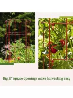 Tomato Cages, Set Of 4 15 Tomato Cages, Set Of 4 -Garden Care 8587040 2