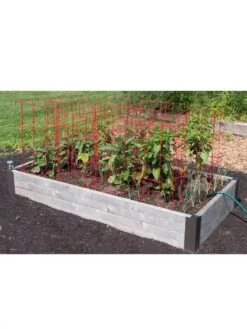 Pepper And Eggplant Cages, Set Of 3 13 Pepper And Eggplant Cages, Set Of 3 -Garden Care 8587048 6008 3 4