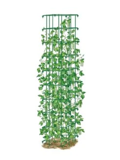 Bean Tower 13 Bean Tower -Garden Care 8587060 0008 GRN tif