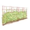 Expandable Pea Trellis 1 Expandable Pea Trellis -Garden Care 8587061 PeaFence Red 001E tif