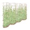 Tall Expandable Pea Trellis 2 Tall Expandable Pea Trellis -Garden Care 8587062 0001 RED tall expandable pea trelis tif