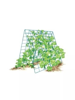 Deluxe Cucumber Trellis 17 Deluxe Cucumber Trellis -Garden Care 8587083 001 BLUE Cukes two sided deluxe cucumber trellis support storm blue 3 4