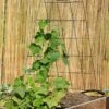 Wire A-Frame Trellis -Garden Care 8587104 526 tif