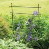 Jardin Ladder Trellis 2 Jardin Ladder Trellis -Garden Care 8587107 1651 tif