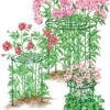 Grow Through Supports, Set Of 3 -Garden Care 8587111RS 001E 1