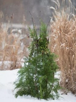 Jardin Pot Trellis -Garden Care 8587120 009 tif