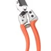 Anvil Pruners -Garden Care 8587440ORRIGHT 063 tif